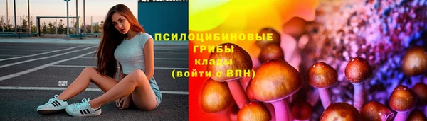 кокс Алагир