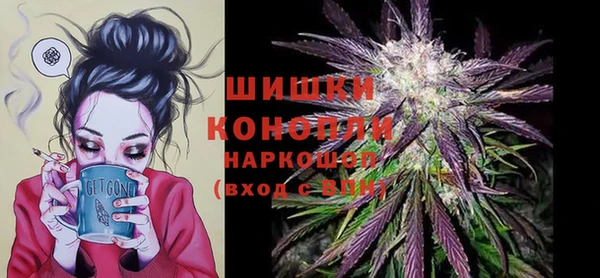 прущий лед Нея
