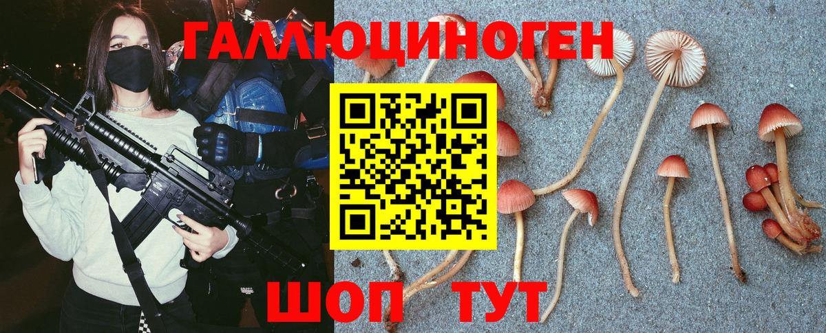 Галлюциногенные грибы мухоморы Красноармейск