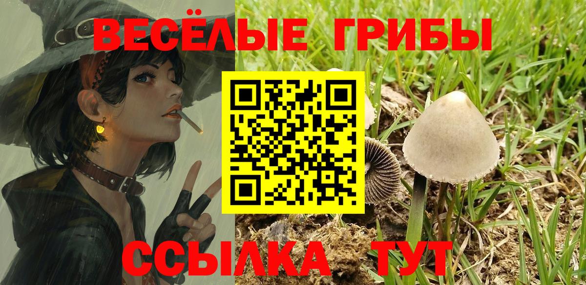  COCAIN Красноармейск
