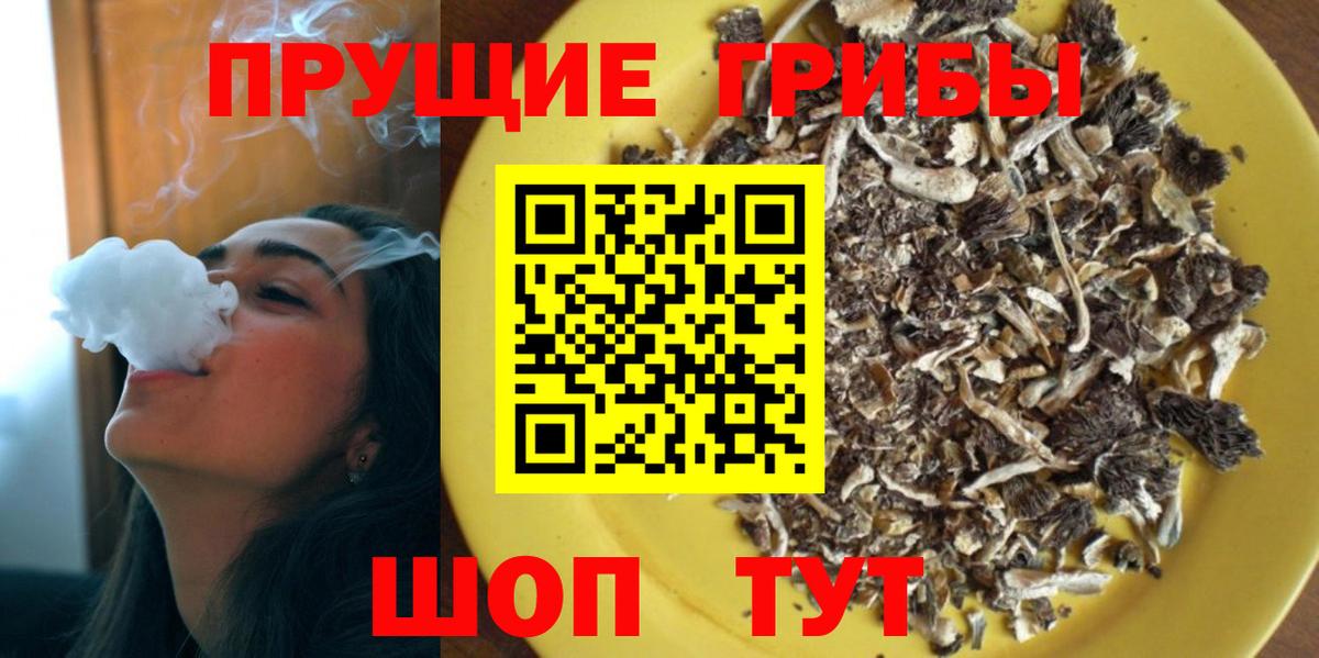 Галлюциногенные грибы мицелий  цены наркотик  Красноармейск 