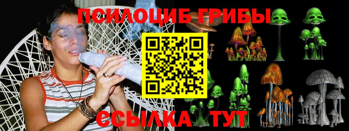 Галлюциногенные грибы мухоморы Красноармейск